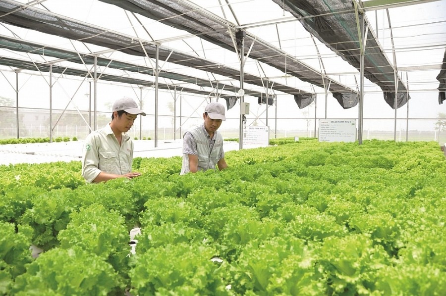 Hỗ trợ doanh nghiệp Việt Nam sản xuất bền vững