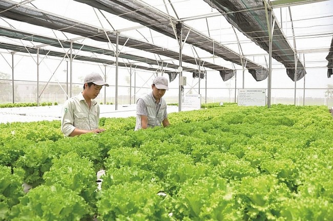 Hỗ trợ doanh nghiệp Việt Nam sản xuất bền vững