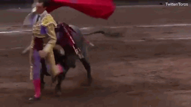 Video: Kinh hoàng cảnh võ sĩ đấu bò bị húc văng lên không