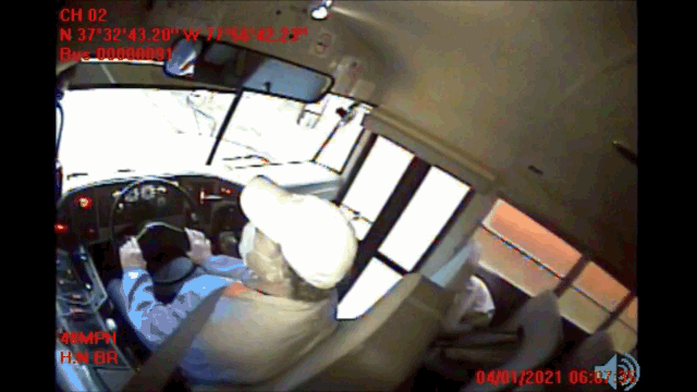 Video: Đột ngột lao qua đường, hươu xuyên thủng kính chắn gió xe buýt