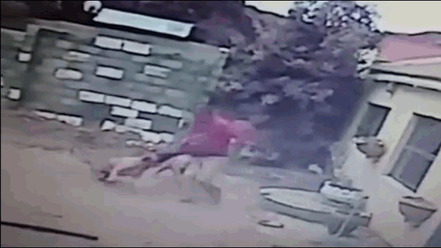 Video: Thanh niên đi trộm không may gặp chó dữ và cái kết