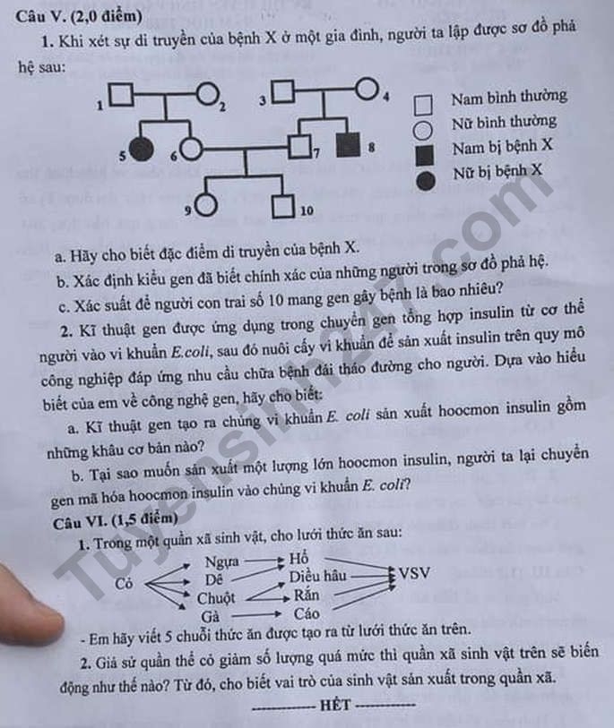 3340 de thi mon sinh hoc tuyen sinh lop 10 vao thpt chuyen hung yen nam 2020 anh2