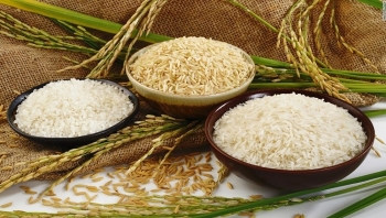 Vượt Thái Lan, giá gạo xuất khẩu Việt Nam cao nhất thế giới