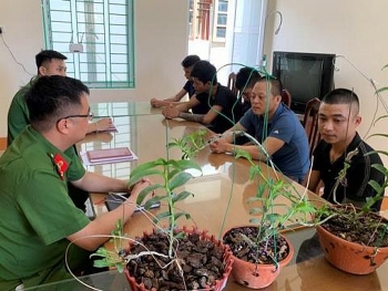 tiet lo manh khoe tinh vi cua nhom lua dao ban lan phi diep dot bien