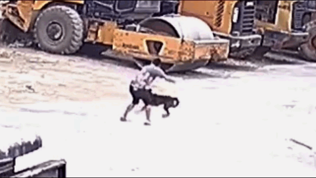 Video: Bị chó dữ tấn công, người đàn nhanh trí dùng "chiêu độc" để khắc chế
