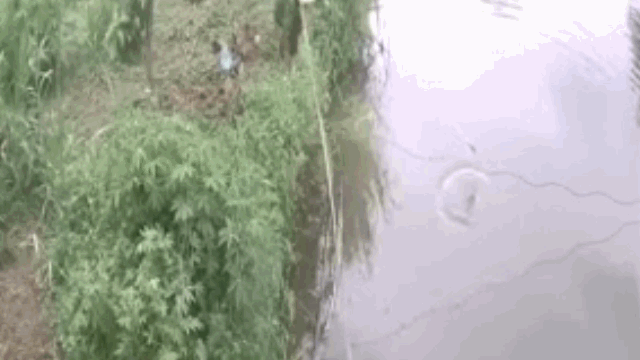 Video: Người đàn ông lao như tên bắn, cứu sống bé trai bị chìm dưới hồ