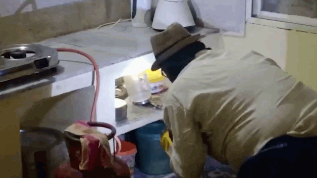 Video: Rắn độc ẩn nấp trong bếp nhà dân, hung hăng cắn người