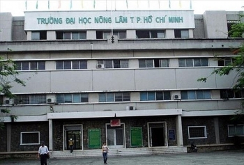 diem san nong lam tp hcm xet hoc ba nam 2020