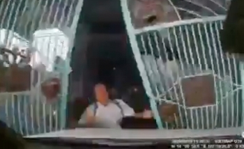 Camera giao thông: Con dâu đạp nhầm chân ga, lao ô tô tông thẳng vào bố chồng đang mở cổng