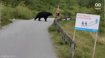 Video: Cô gái dùng "chiêu độc" tự cứu mạng trước gấu đen