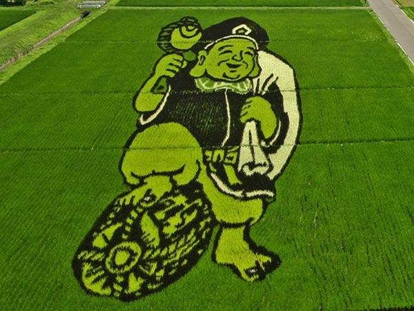 Cận cảnh những kiệt tác nghệ thuật khổng lồ trên đồng lúa Nhật Bản