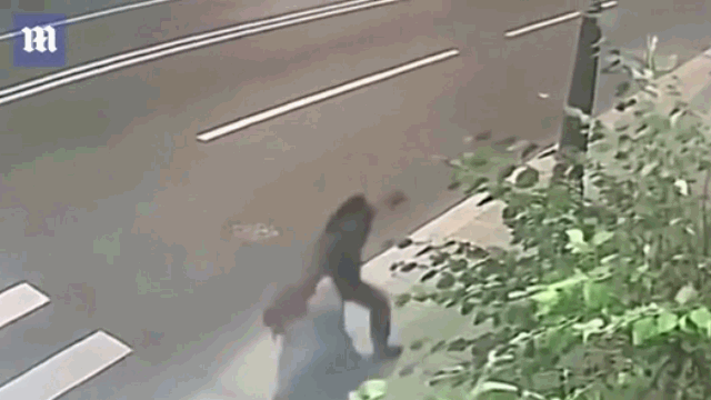 Video: Táo tợn giật túi xách, tên cướp không ngờ gặp phải "cụ già gân"