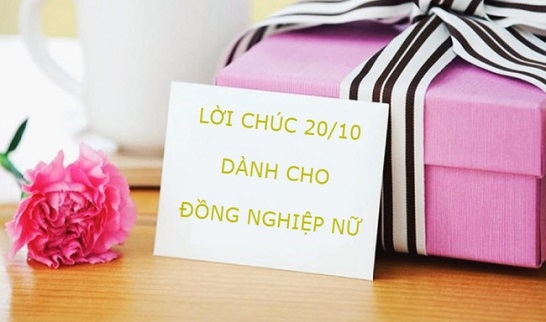 Lời chúc 20/10 cho đồng nghiệp ngắn gọn, ý nghĩa, thể hiện sự tôn trọng tối đa