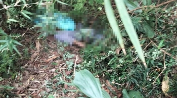 Thông tin pháp luật sáng 26/10: Tá hỏa phát hiện nam thanh niên nằm tử vong cạnh bao tải đựng chó trong rừng tràm