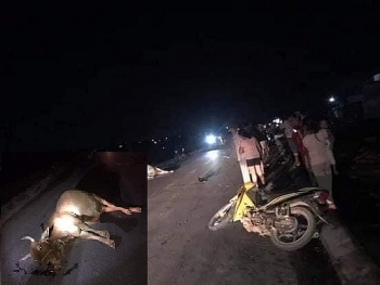 Tai nạn giao thông sáng 26/11: Đâm vào bò, người đi xe máy ở Quảng Trị tử vong tại chỗ