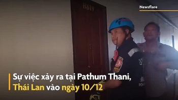 Cảnh sát đột kích căn hộ chung cư, tá hỏa phát hiện gia chủ giấu 8 con cá sấu bên trong