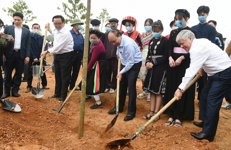Thủ tướng phát động trồng 1 tỷ cây xanh tại Tuyên Quang