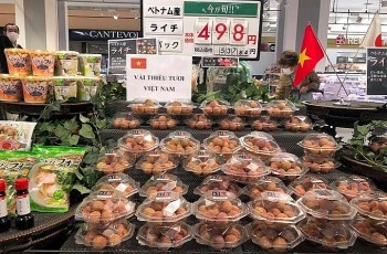 Nông sản Việt Nam đang có lượng tiêu thụ tốt tại thị trường Nhật Bản