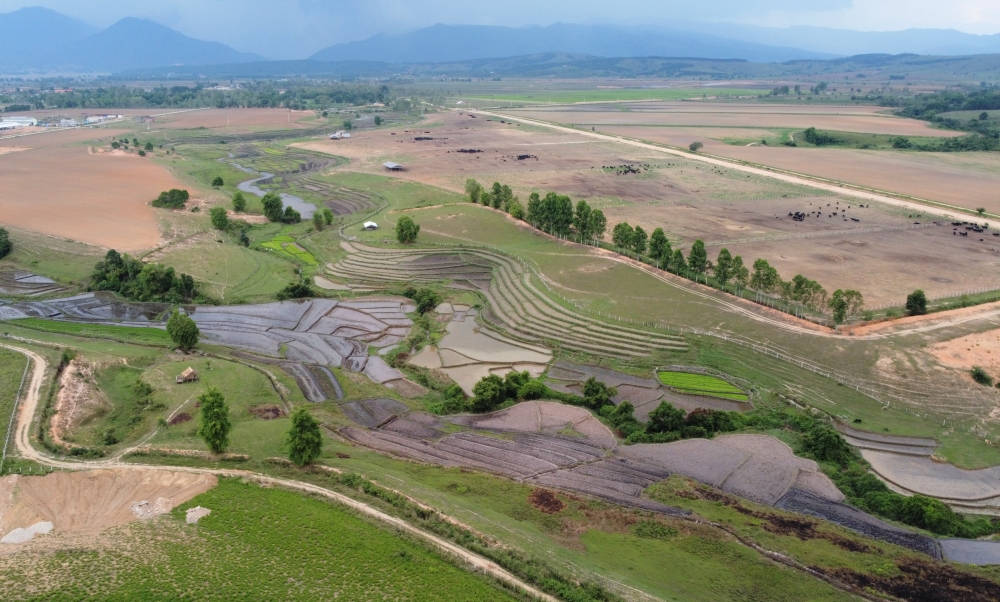 Tổ hợp trang trại tại Lào của Vinamilk đẩy nhanh tiến độ hoàn thành giai đoạn 1
