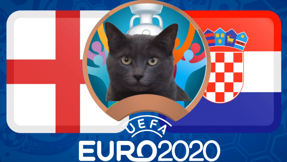 Mèo tiên tri dự đoán Anh vs Croatia - EURO 2021: Bất ngờ với kết quả của Cass