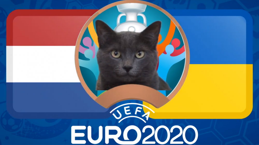 Mèo tiên tri dự đoán Hà Lan vs Ukraine - EURO 2021: Kết quả bất ngờ