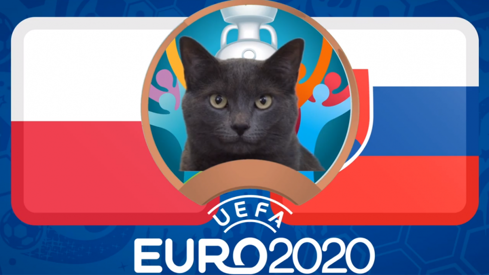 Mèo tiên tri dự đoán Ba Lan vs Slovakia - EURO 2021: Mèo Cass chọn đội mạnh