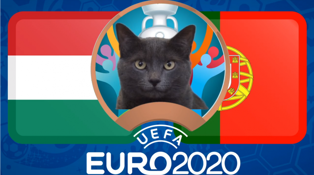 Mèo tiên tri dự đoán Hungary vs Bồ Đào Nha - EURO 2021: Mèo Cass đặt niềm tin ở CR7