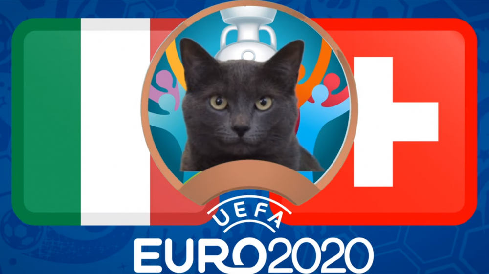 Mèo tiên tri dự đoán Italia vs Thụy Sỹ - EURO 2021: Mèo Cass chọn đội mạnh