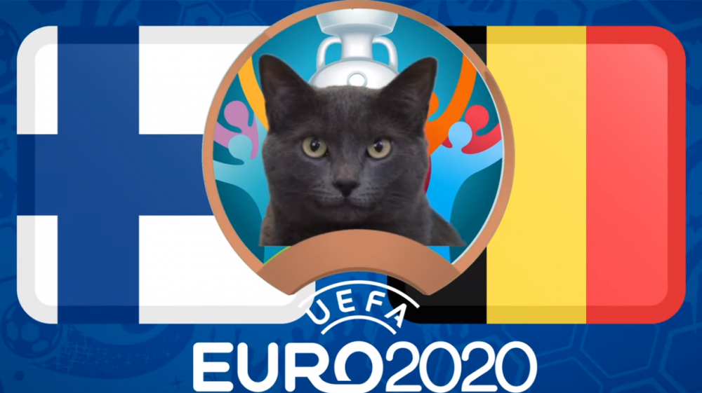 Mèo tiên tri dự đoán Phần Lan vs Bỉ - EURO 2021: Mèo Cass lựa chọn bất ngờ