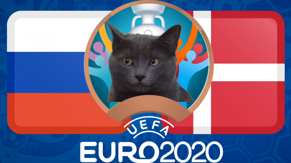 Mèo tiên tri dự đoán Nga vs Đan Mạch - EURO 2021: Mèo Cass thích 'Gấu Nga'