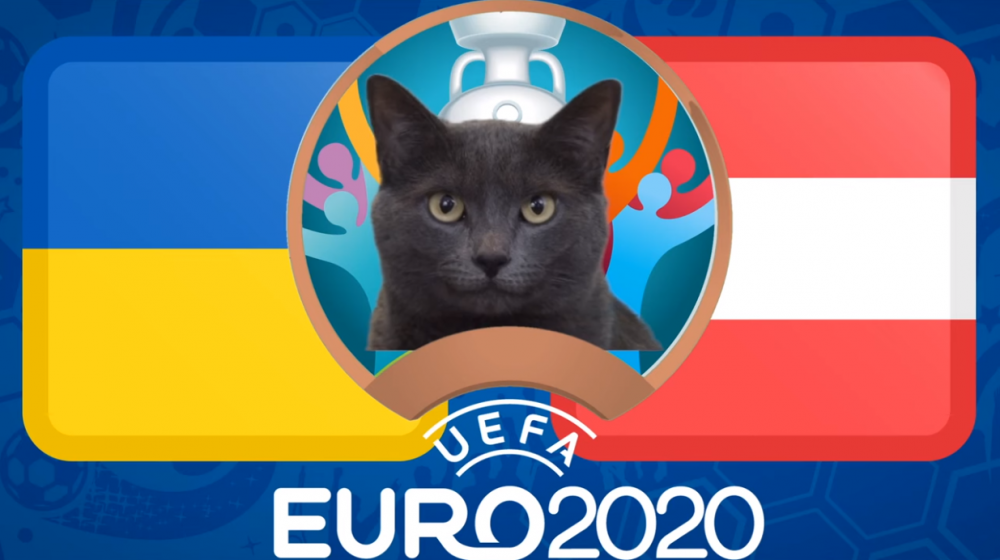 Mèo tiên tri dự đoán Ukraine vs Áo - EURO 2021: Mèo Cass chọn bất ngờ