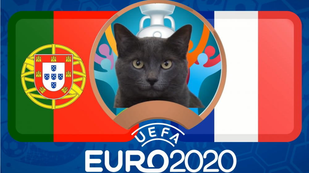 Mèo tiên tri dự đoán Bồ Đào Nha vs Pháp - EURO 2021: Mèo Cass lựa chọn bất ngờ