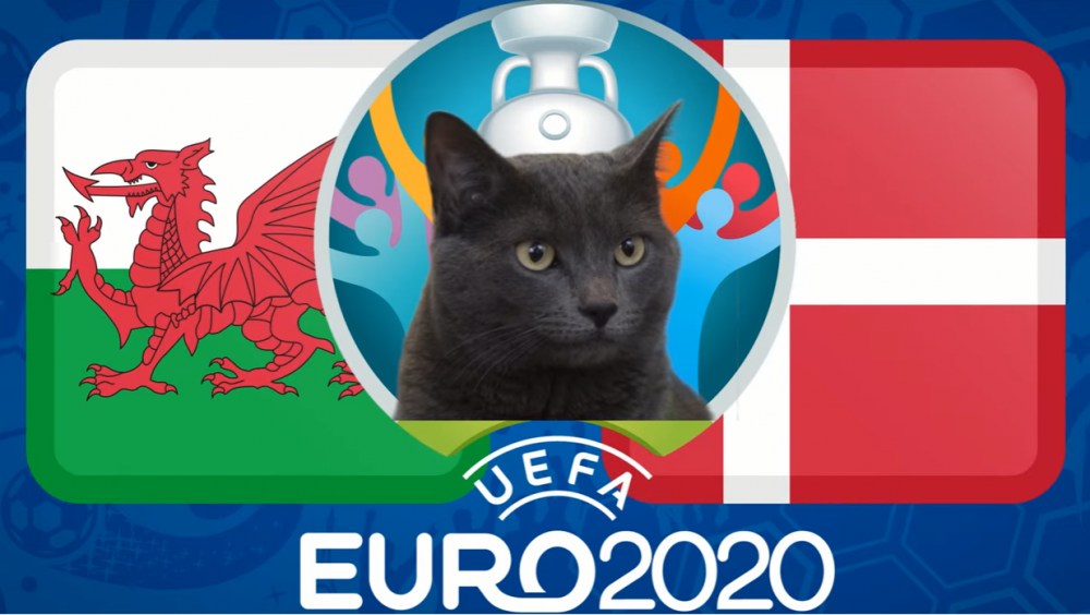 Mèo tiên tri dự đoán Xứ Wales vs Đan Mạch (23h00, 26/6) - vòng 1/8 EURO 2021