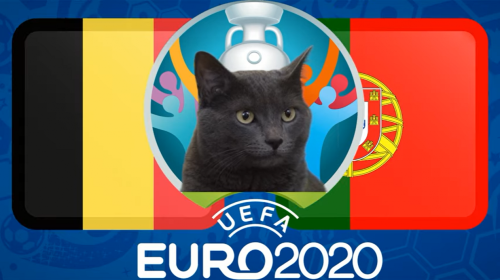 Mèo tiên tri dự đoán Bỉ vs Bồ Đào Nha (2h00, 28/6) - vòng 1/8 EURO 2021