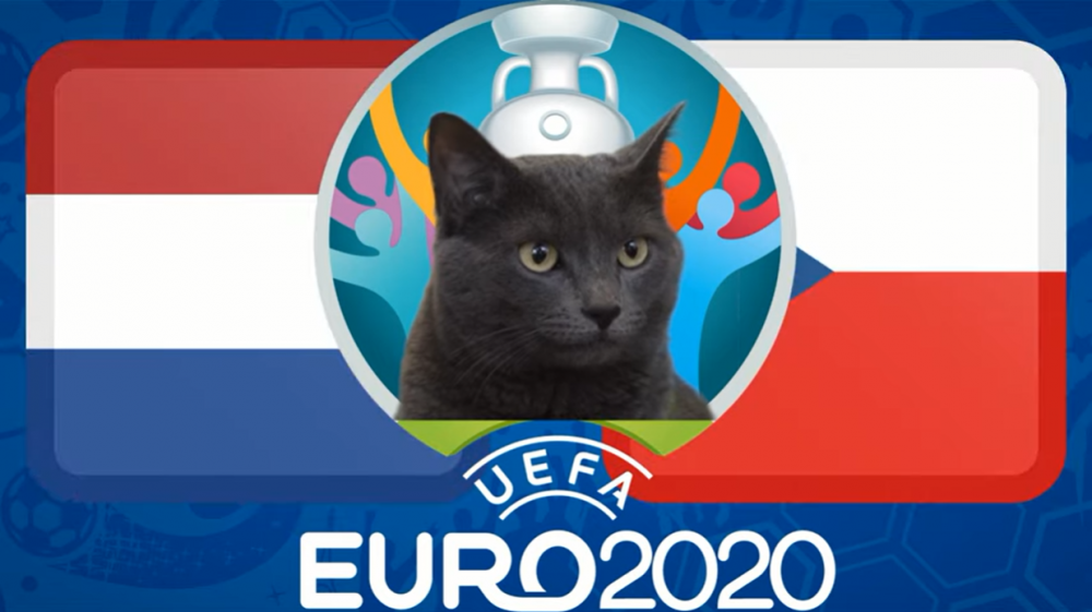 Mèo tiên tri dự đoán Hà Lan vs CH Séc (23h00, 27/6) - vòng 1/8 EURO 2021