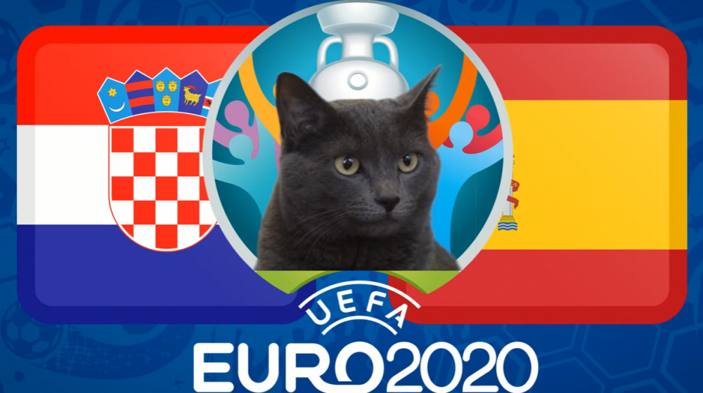 Mèo tiên tri dự đoán Croatia vs Tây Ban Nha (23h00, 28/6) - vòng 1/8 EURO 2021