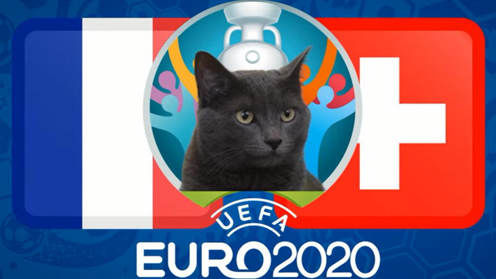Mèo tiên tri dự đoán Pháp vs Thụy Sĩ (2h00, 29/6) - vòng 1/8 EURO 2021