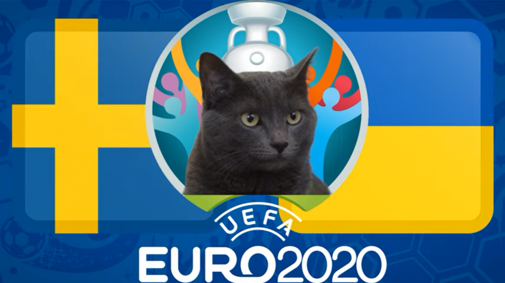 Mèo tiên tri dự đoán Thụy Điển vs Ukraine (2h00, 30/6) - vòng 1/8 EURO 2021