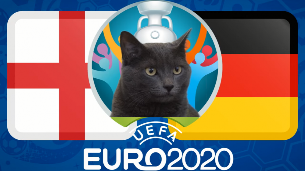 Mèo tiên tri dự đoán Anh vs Đức (23h00, 29/6) - vòng 1/8 EURO 2021