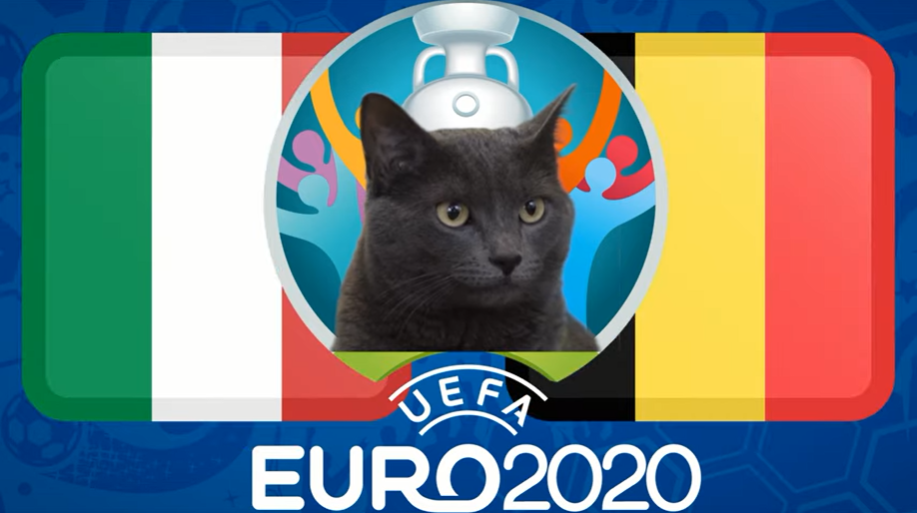 Mèo tiên tri dự đoán Bỉ vs Italia (02h00, 3/7) - vòng tứ kết EURO 2021