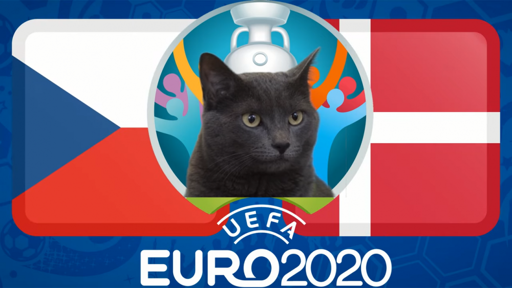 Mèo tiên tri dự đoán CH Séc vs Đan Mạch, 23h00 ngày 3/7 - vòng tứ kết EURO 2021
