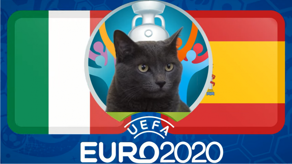 Mèo tiên tri dự đoán Italia và Tây Ban Nha, 02h00 ngày 7/7 - vòng bán kết EURO 2021