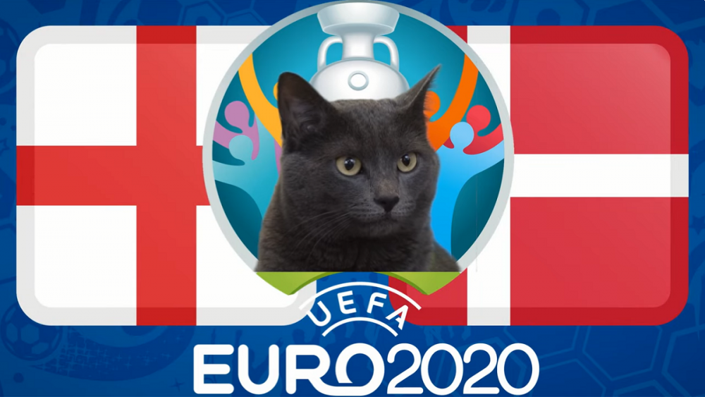Mèo tiên tri dự đoán Anh vs Đan Mạch, 02h00 ngày 8/7 - vòng bán kết EURO 2021