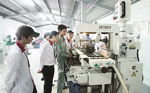 Doanh nghiệp giữ vai trò trọng yếu trong công cuộc đổi mới sáng tạo