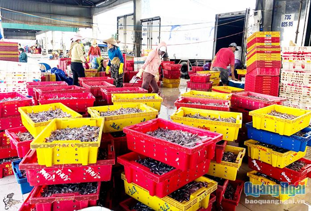 Quảng Ngãi: Xử phạt nặng tàu cá vươn khơi không có giấy chứng nhận an toàn thực phẩm