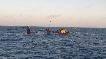 Tích cực tìm kiếm ngư dân mất tích trên vùng biển Côn Đảo