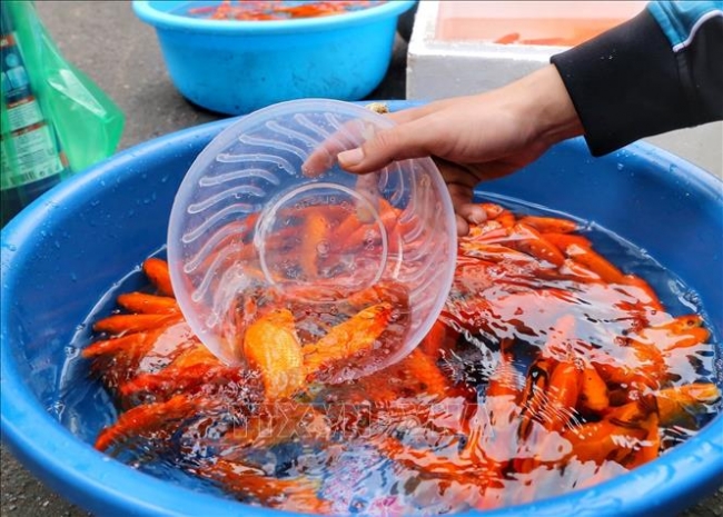 Người dân Thủ đô chuẩn bị đồ cúng ông Công, ông Táo