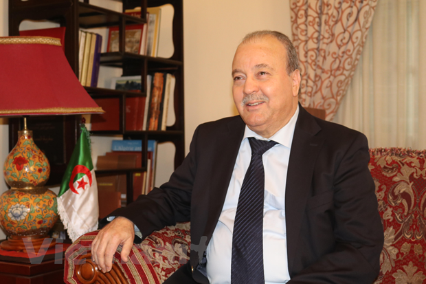 Dai su Algeria Boubazine Abdelhamid: Viet Nam la dat nuoc rat an toan hinh anh 1