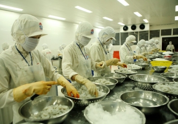 Đón thời cơ xuất khẩu nông sản sang Trung Quốc Đón thời cơ xuất khẩu nông sản sang Trung Quốc