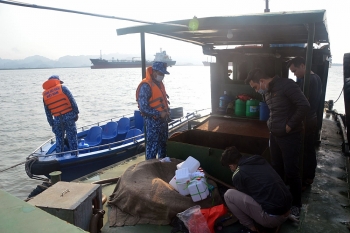 Hải Phòng: Cảnh sát biển thu giữ 20.000 lít dầu DO không rõ nguồn gốc